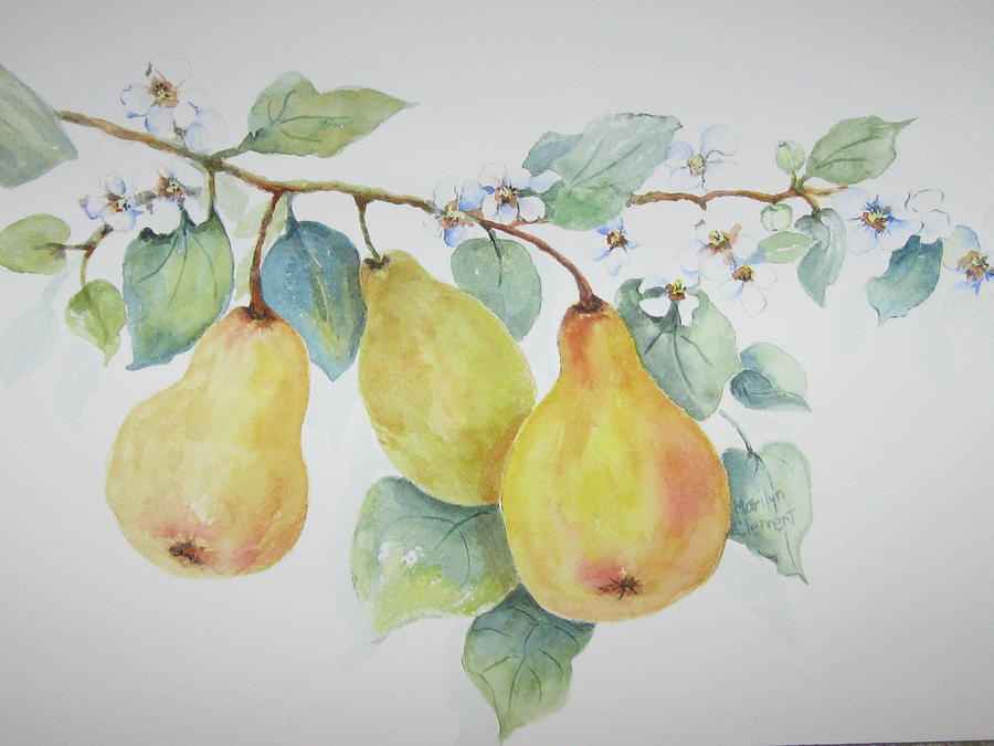Pear Painting - 3 Pears by Marilyn  Clement