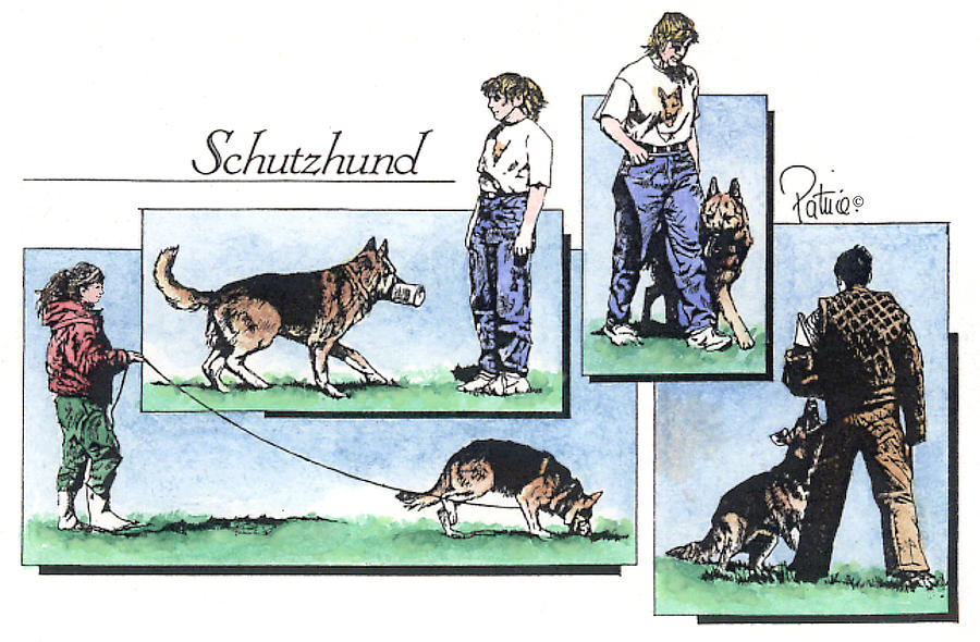 3 Phases of Schutzhund Painting by Patrice Clarkson
