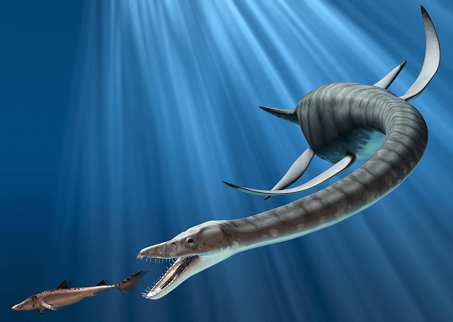 Plesiosaur Attack, Artwork Photograph by Roger Harris - Fine Art America