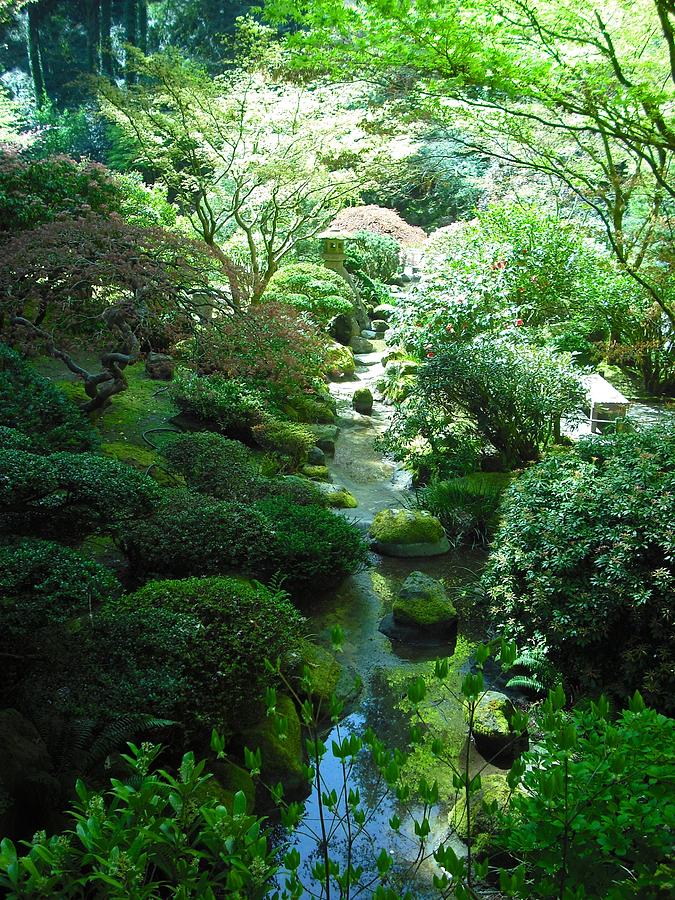 Portland Japanese Garden Photograph by Kelly Manning