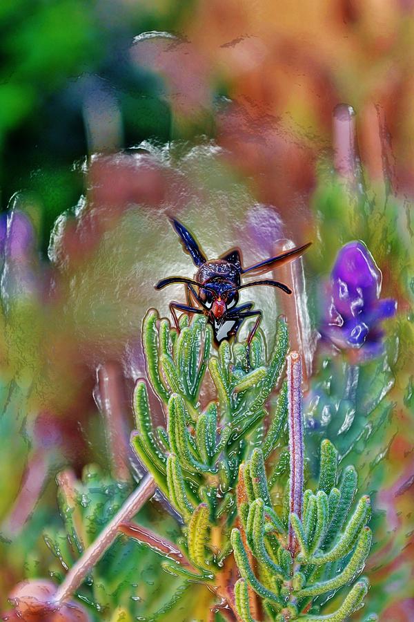 Summer Photograph - Potter Wasp #3 by Werner Lehmann