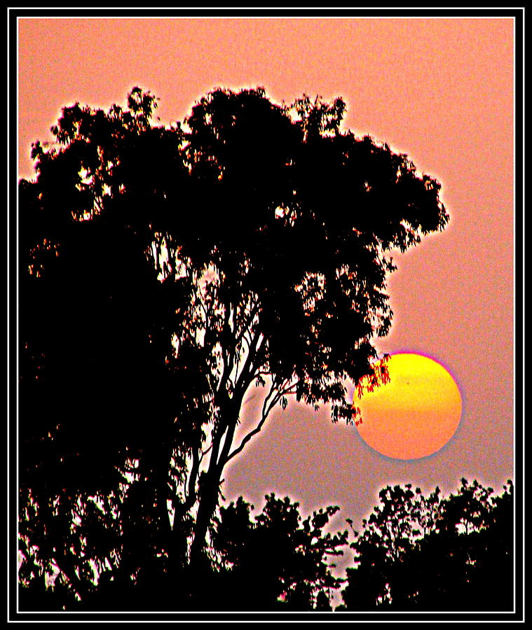 Raising Sun #3 Photograph by Anand Swaroop Manchiraju