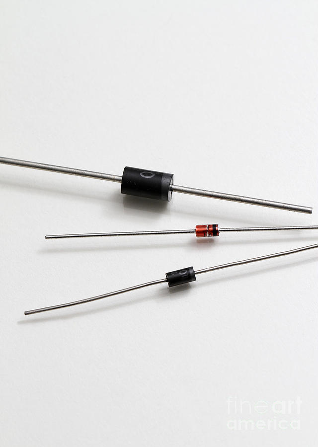 Rectifier & Zener Diodes #3 Photograph by Photo Researchers, Inc.