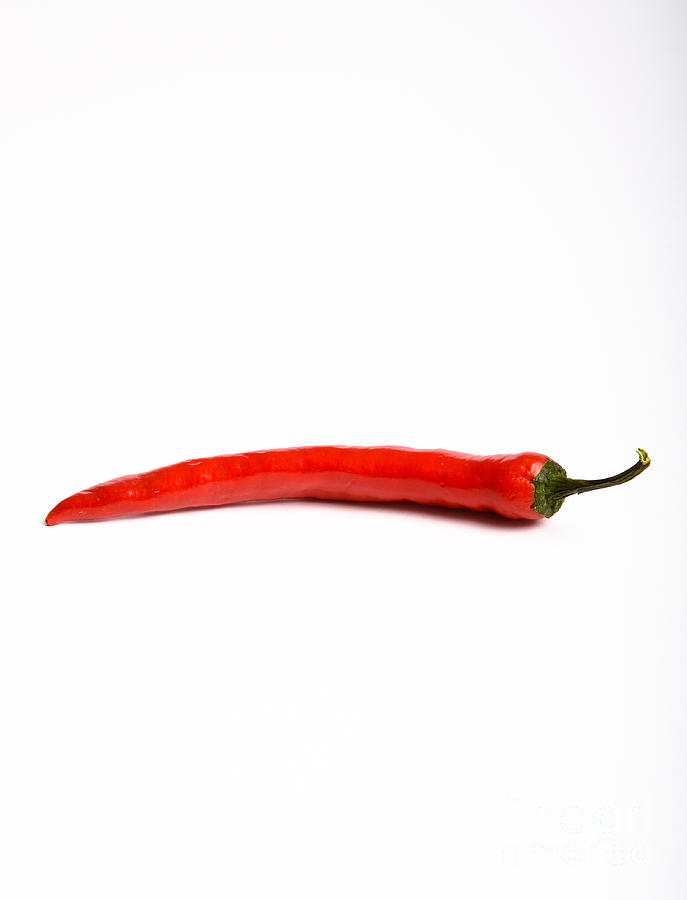 Red Chili Pepper #3 Photograph by Photo Researchers, Inc.