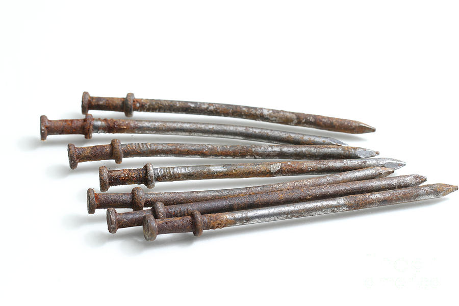 Nail Photograph - Rusty Nails #3 by Photo Researchers, Inc.