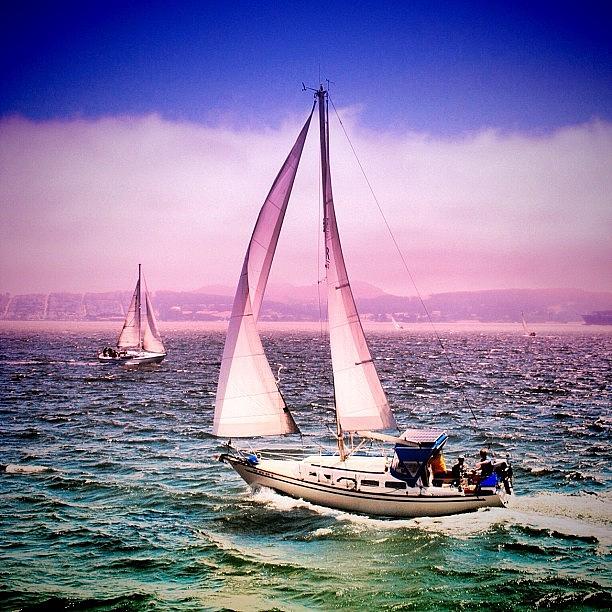 San Francisco Bay Photograph - San Francisco bay #3 by Luisa Azzolini