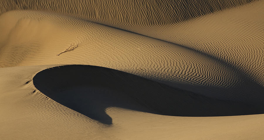 Sand Dune Death Valley #3 Photograph by Joe  Palermo