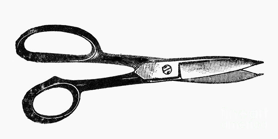 Tool Photograph - Scissors #3 by Granger