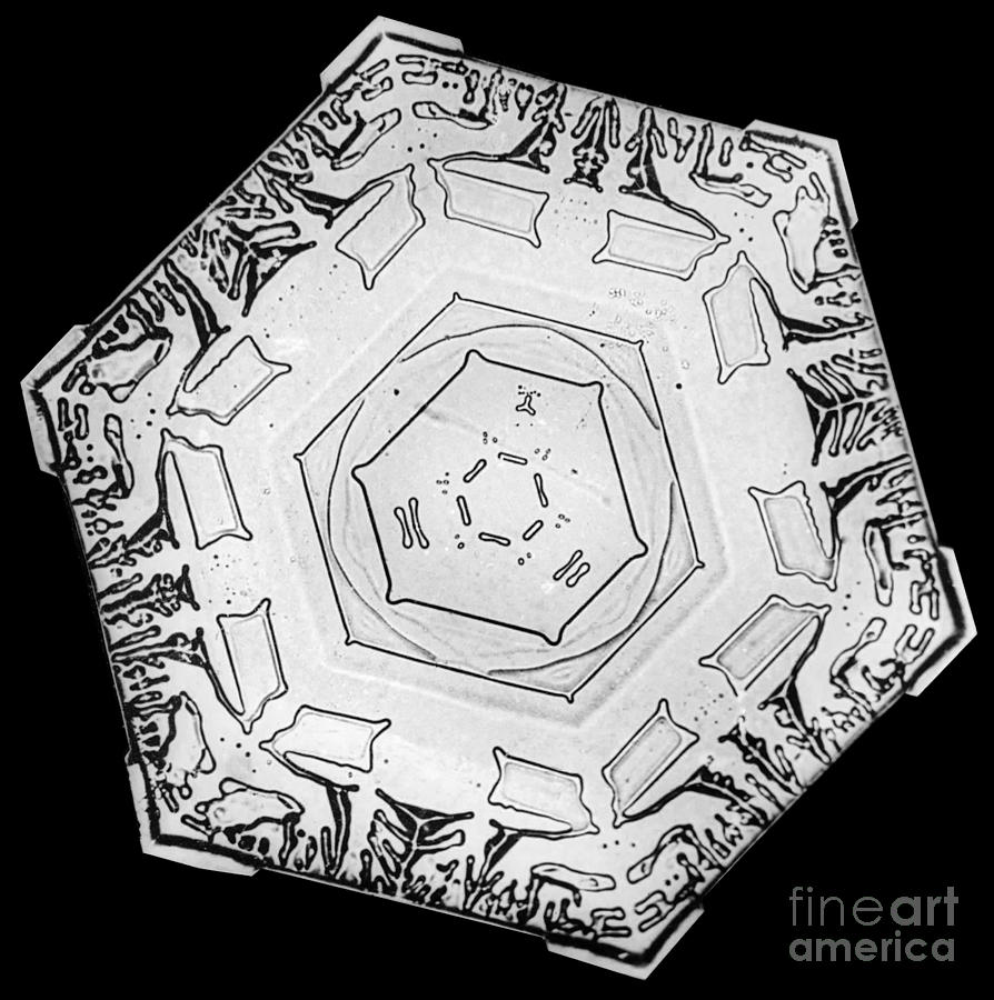 Snowflake #3 Photograph by Science Source