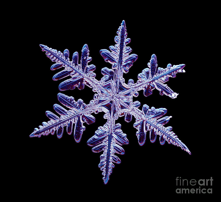 Snowflake #3 Photograph by Ted Kinsman
