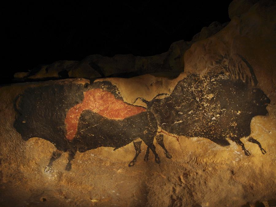 Stone-age Cave Paintings, Lascaux, France #3 Photograph by Javier Truebamsf