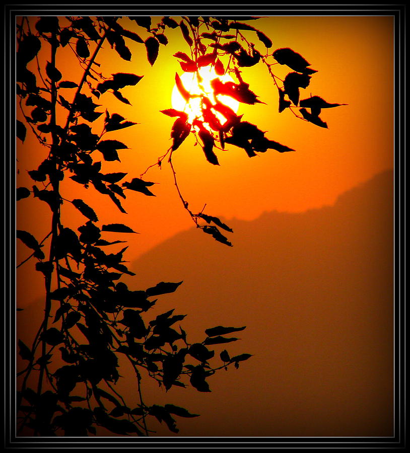 Sun  Raise At Himalayas #3 Photograph by Anand Swaroop Manchiraju