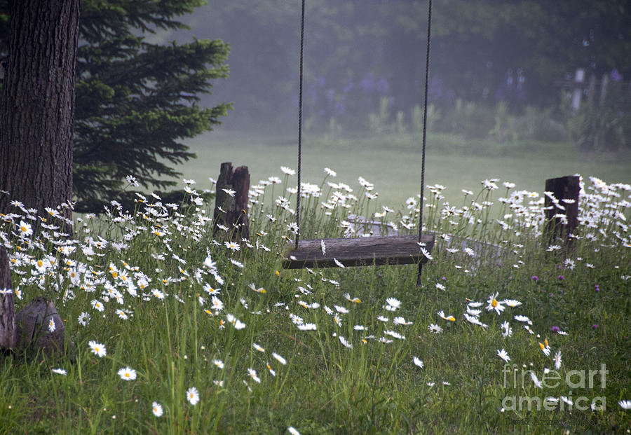 Flower Photograph - Swing in the Daisies #3 by David Arment