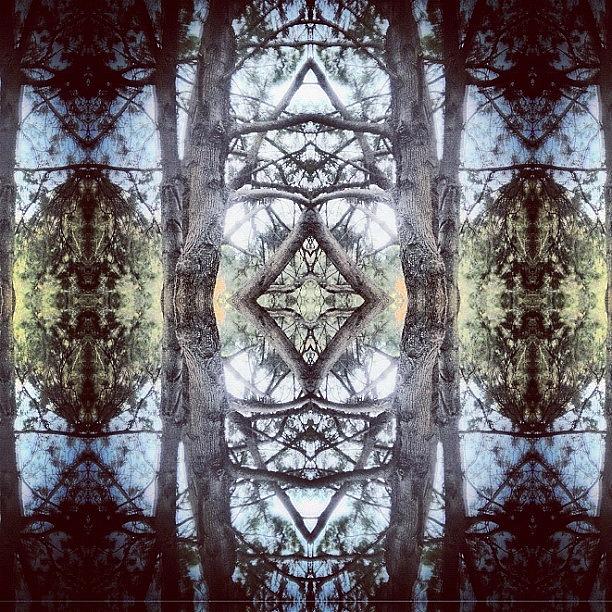Abstract Photograph - #tagstagram .com #abstract #symmetry #3 by Dan Coyne