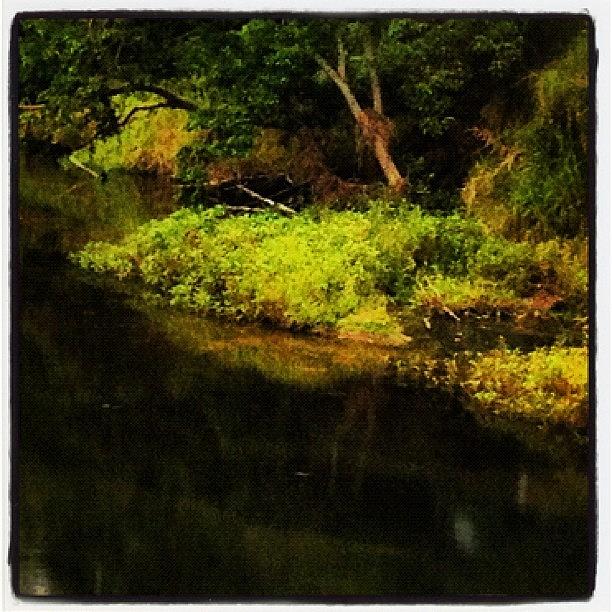 Nature Photograph - #tagstagram .com #river #riverside #3 by Stealth One