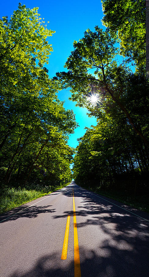 The Road #3 Photograph by Phil Koch