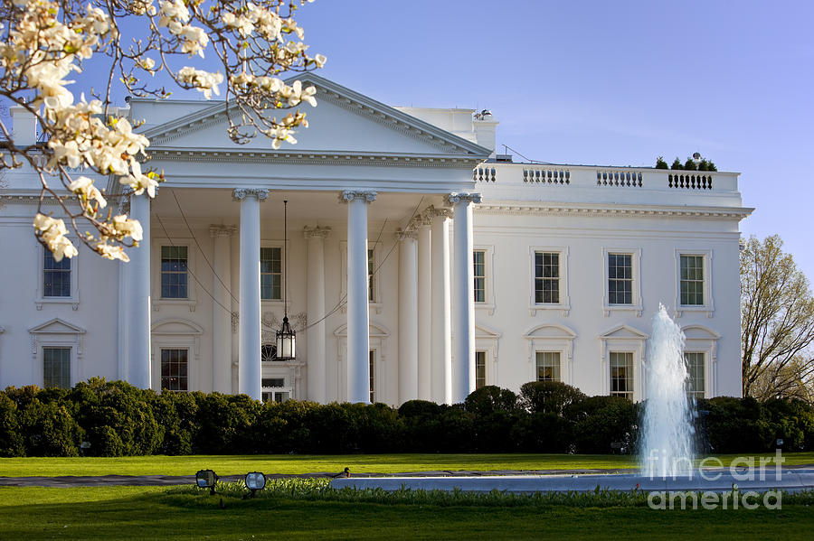 The White House #3 Photograph by Brian Jannsen