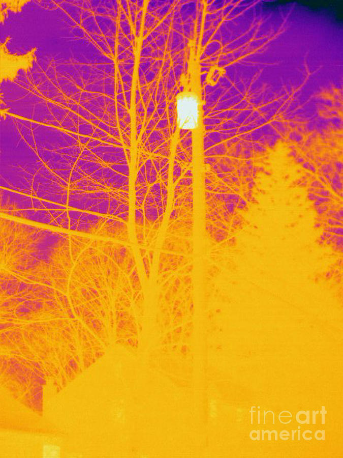 Thermogram Of Electrical Wires #3 Photograph by Ted Kinsman