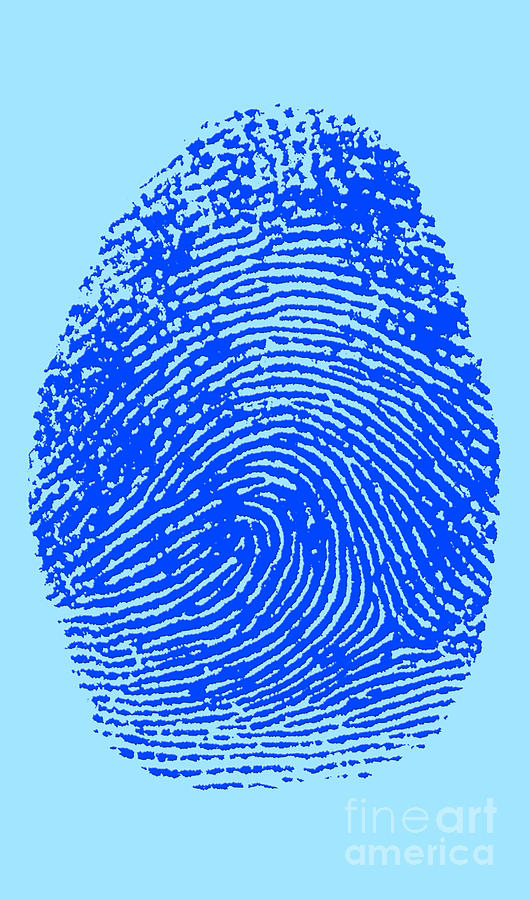 Thumbprint #3 Photograph by Science Source