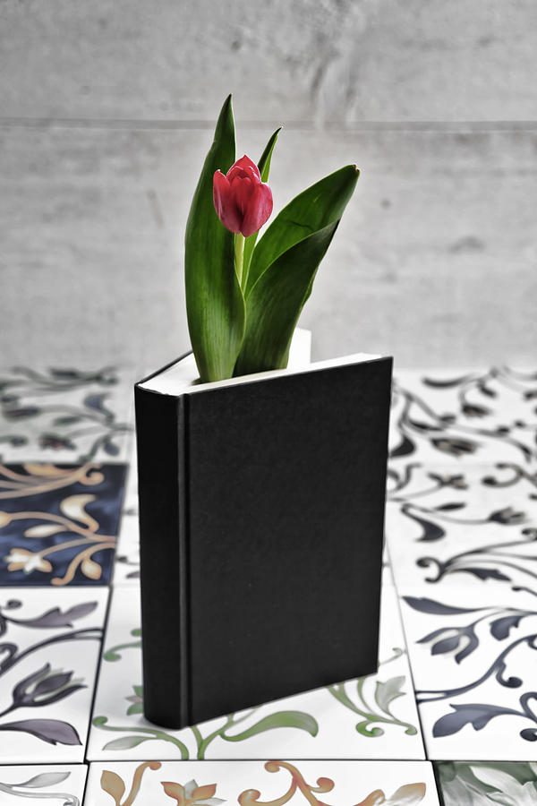 Spring Photograph - Tulip In A Book #3 by Joana Kruse