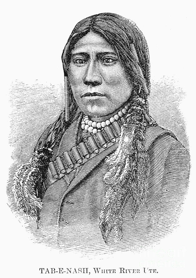 Portrait Photograph - Ute Chief, 1879 #3 by Granger