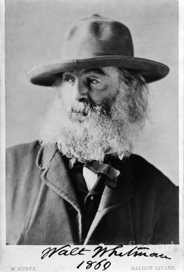 Walt Whitman, American Poet #3  by Photo Researchers