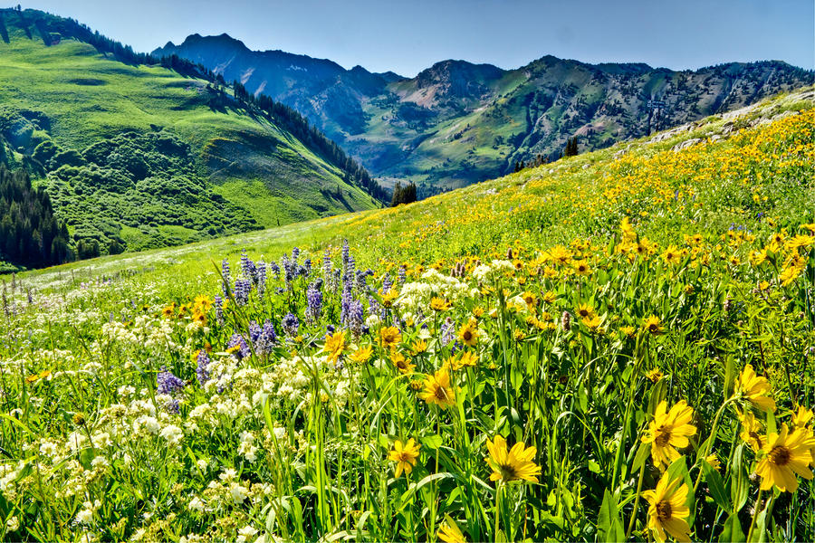 Wasatch Mountains Utah #3 Photograph by Douglas Pulsipher