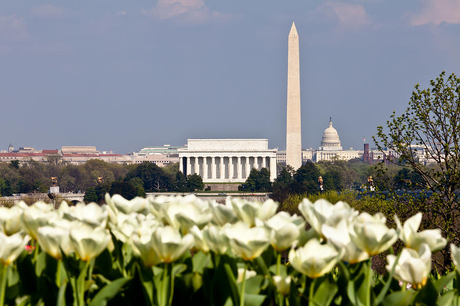 Flower Photograph - Washington DC Skyline with Lincoln Memorial Washington Monument #3 by Dasha Rosato