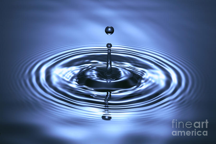 Water Drop #3 Photograph by Ted Kinsman