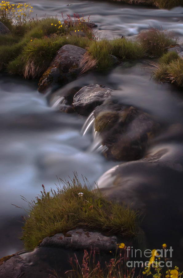 Waterfall #3 Photograph by Jorgen Norgaard
