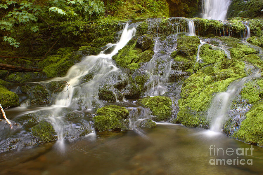 Waterfall #3 Photograph by Ted Kinsman