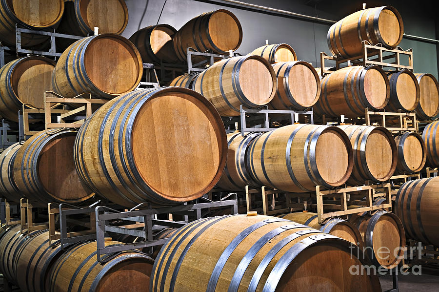 Wine Photograph - Wine barrels 7 by Elena Elisseeva