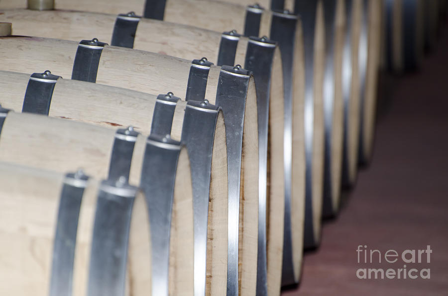 Wine Photograph - Wine barrels #3 by Mats Silvan