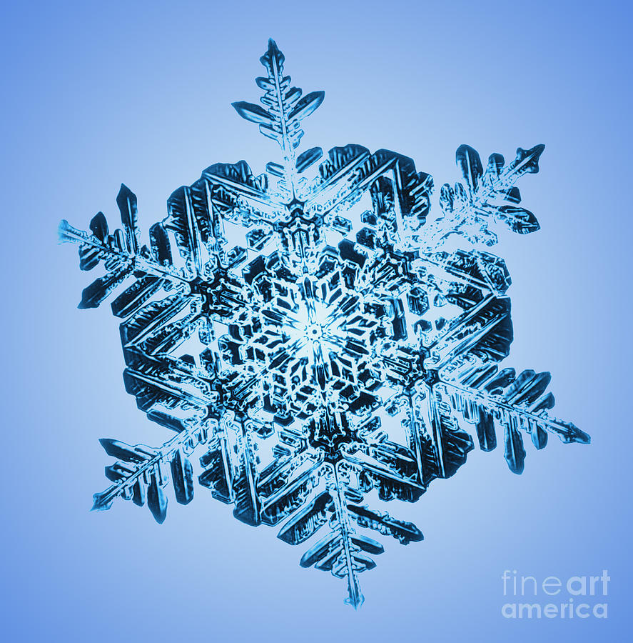 Snowflake #30 Photograph by Science Source