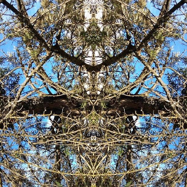 Abstract Photograph - #tagstagram .com #abstract #symmetry #30 by Dan Coyne