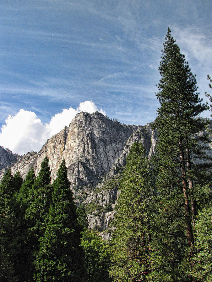 Yosemite National Park #30 Photograph by Helaine Cummins