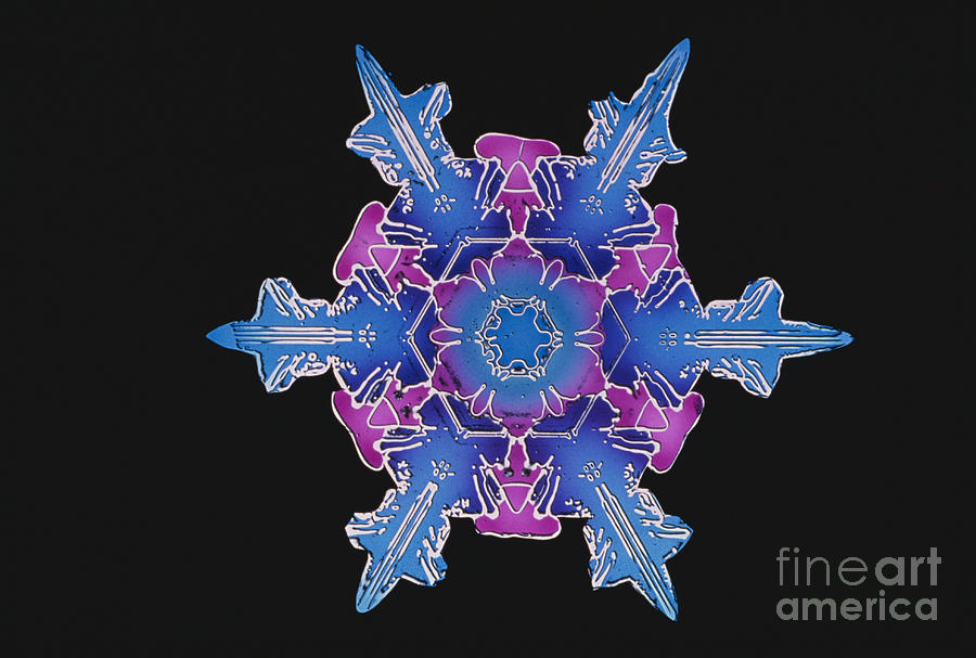 Snowflake #31 Photograph by Science Source