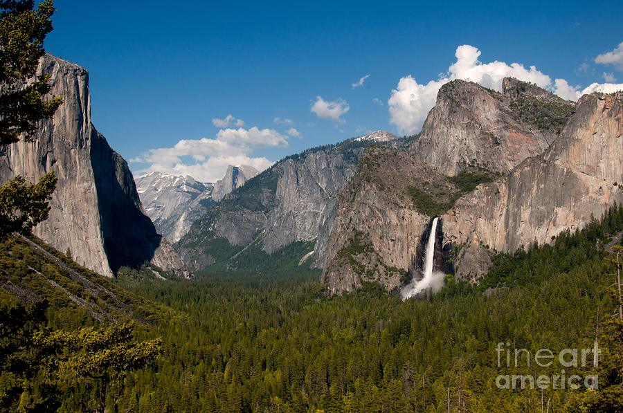 Yosemite #31 Digital Art by Carol Ailles
