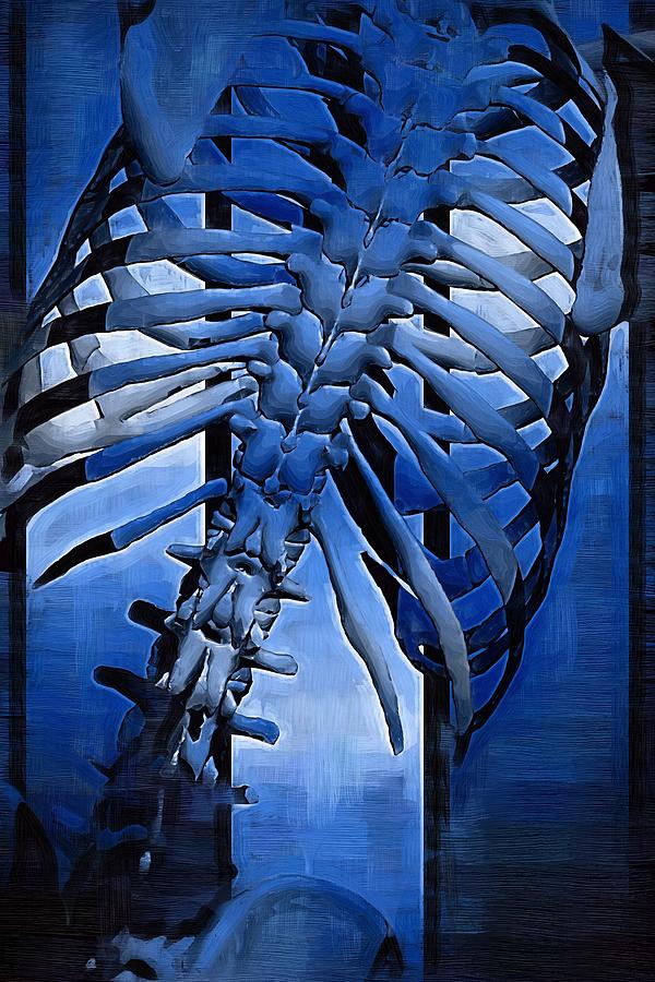 Skeleton Digital Art - Torso Skeleton #32 by Joseph Ventura