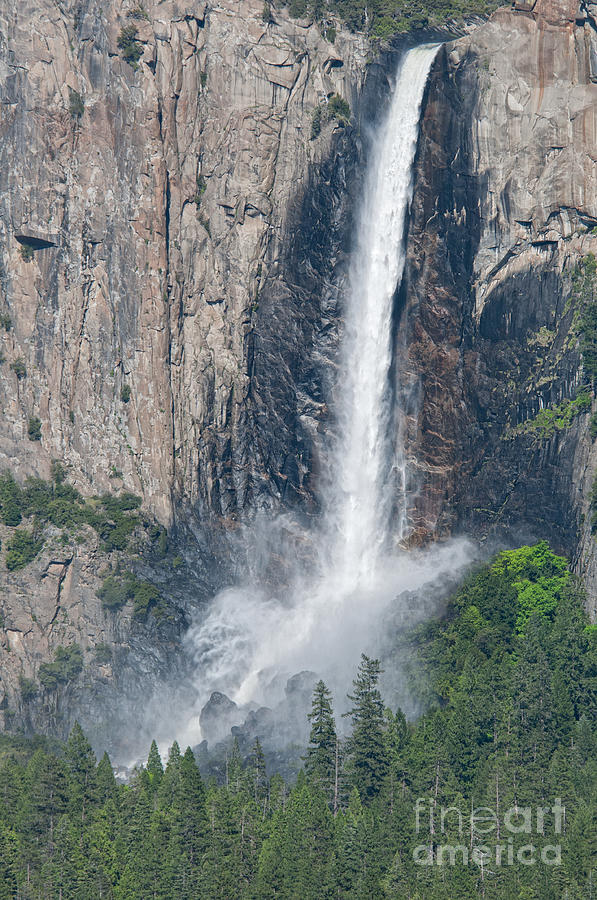 Yosemite #32 Digital Art by Carol Ailles