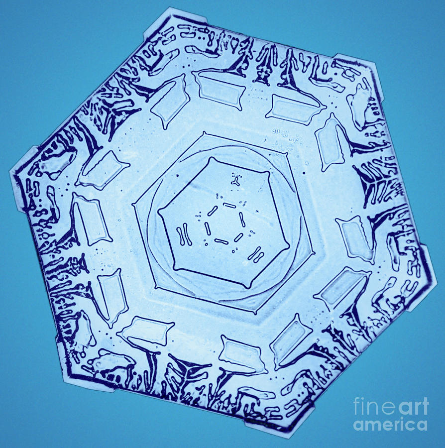 Snowflake #34 Photograph by Science Source