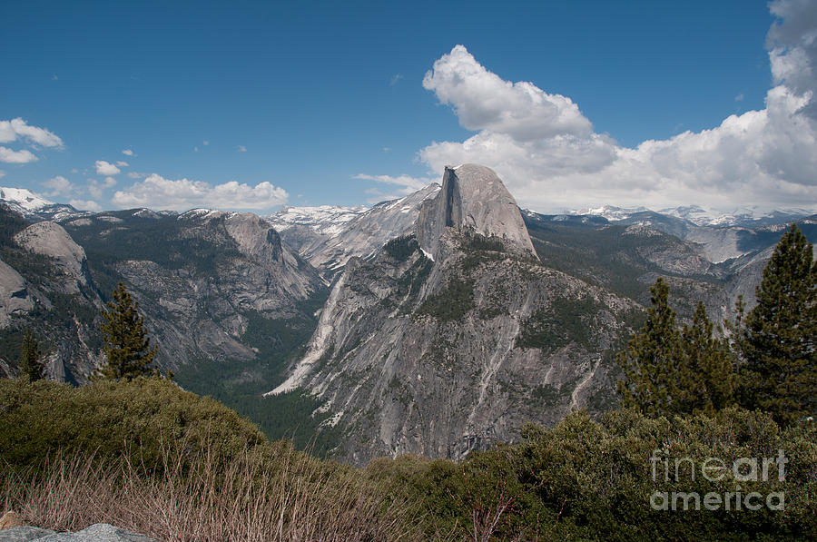 Yosemite #35 Digital Art by Carol Ailles