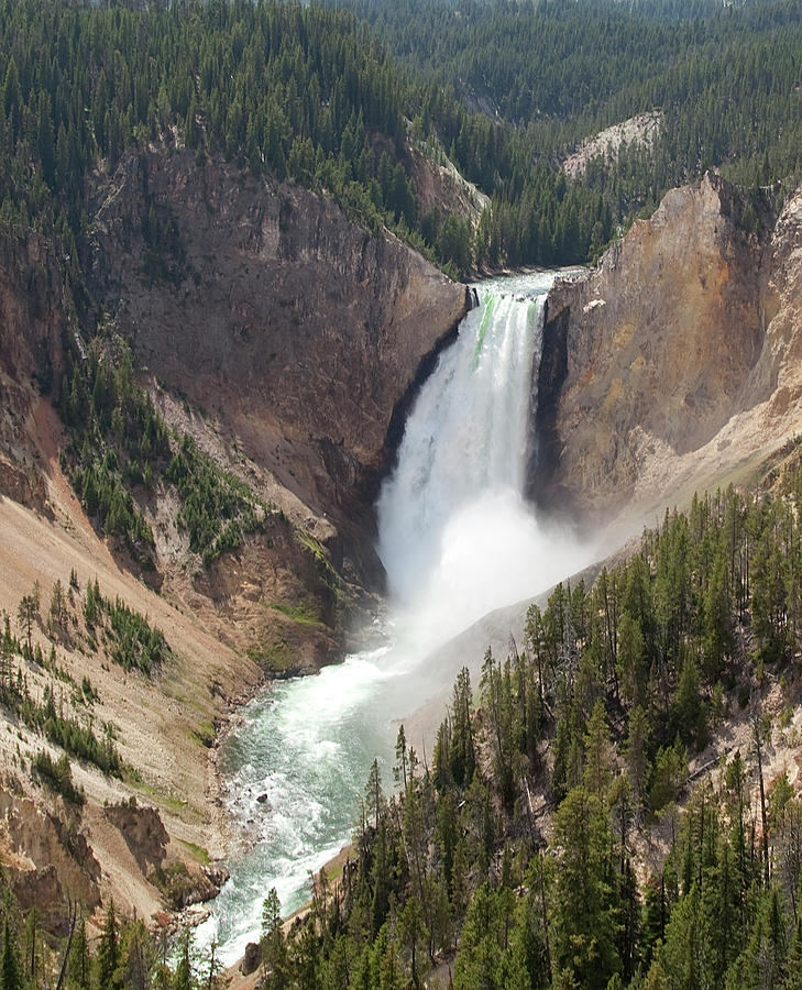 Yellowstone National Park Photograph by Southern Utah Photography