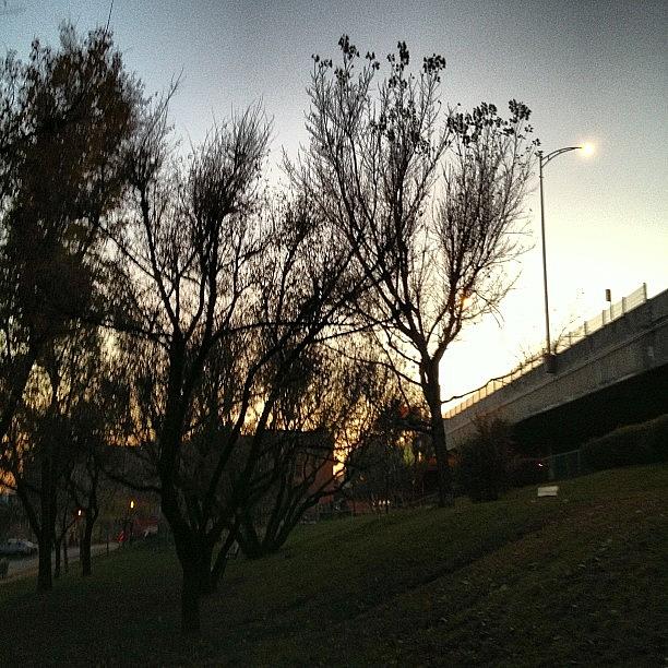 Streetlights Photograph - Instagram Photo #361354611695 by Ilana Shamir