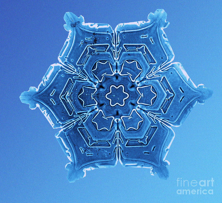 Snowflake #37 Photograph by Science Source