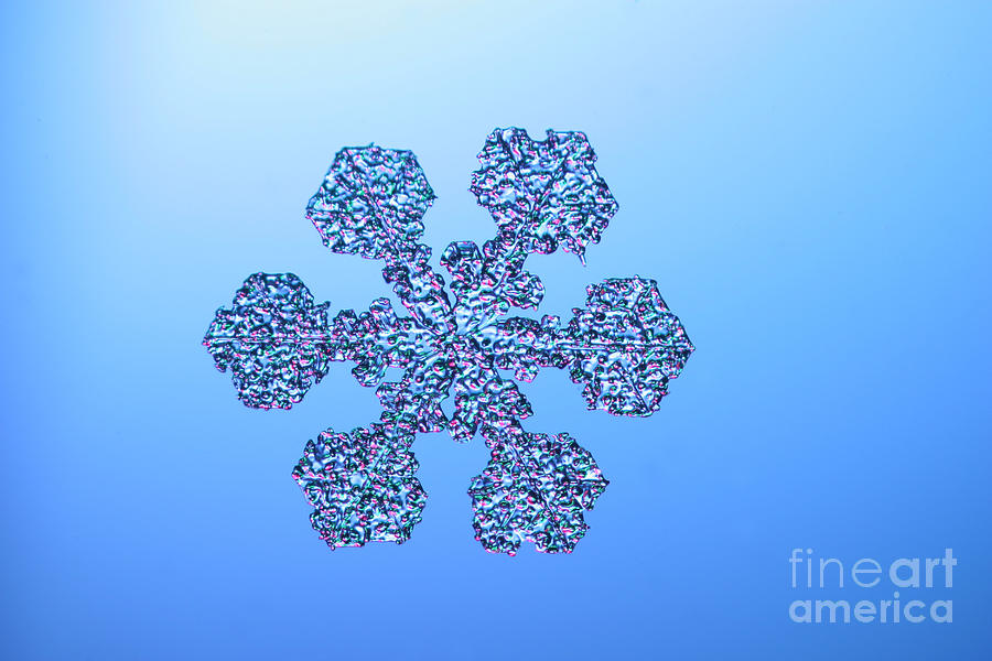 Winter Photograph - Snowflake #38 by Ted Kinsman