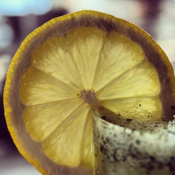 Lemon Photograph - Instagram Photo #381344690325 by Ghada Abdulkhaleq