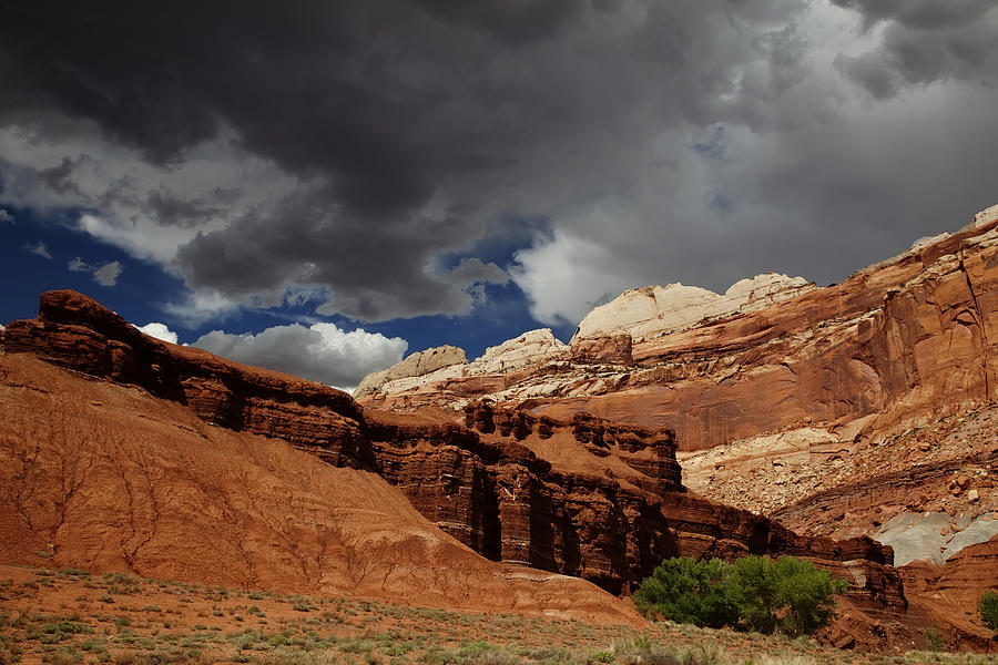 Capitol Reef National Park #386 Photograph by Mark Smith