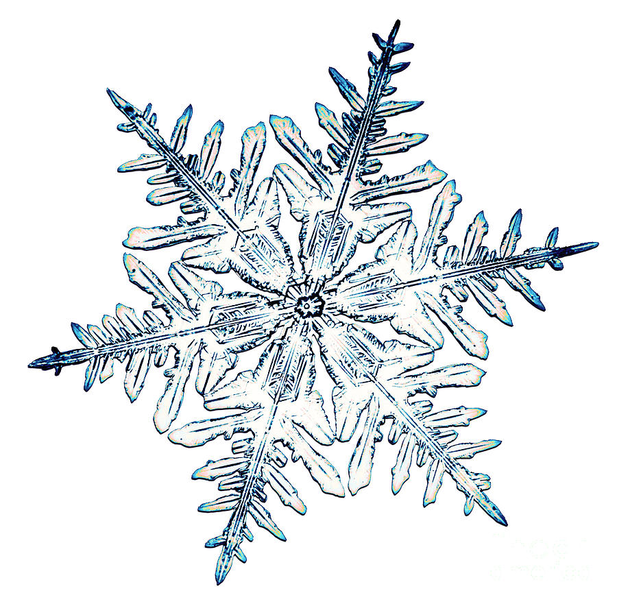Bentley Photograph - Snowflake #39 by Science Source
