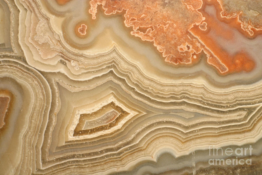 Agate #4 Photograph by Ted Kinsman